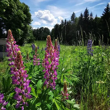 Cyklocamp Pod Landstejnem * Staré Město